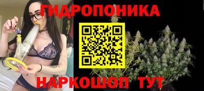 трава Будённовск