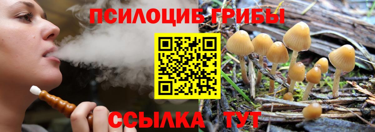 Мурманск  Конопля  Продажа наркотиков  Вход с VPN  Codein  ГАШ  Меф кристаллы 