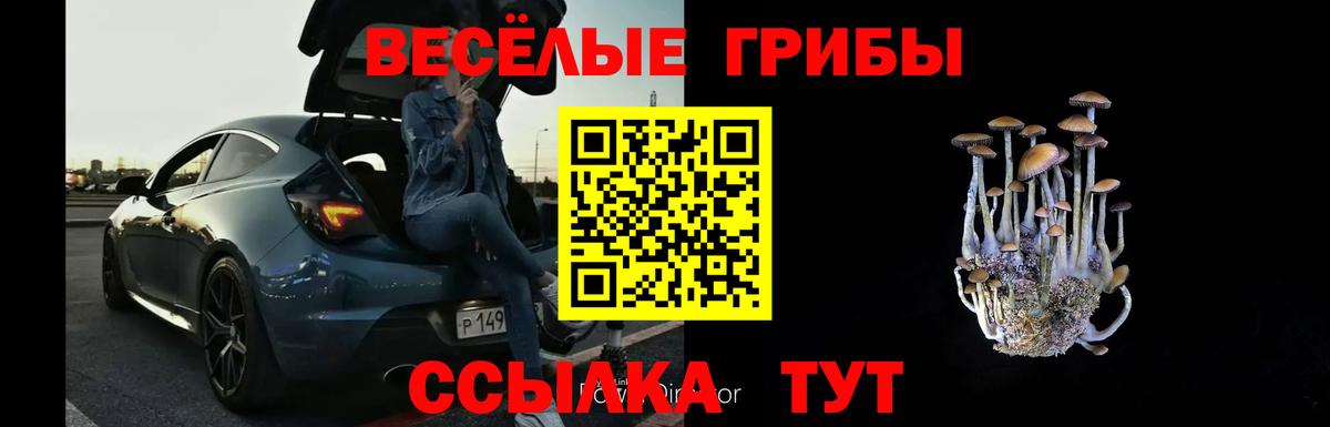Мурманск  Галлюциногенные грибы MAGIC MUSHROOMS  Вход с VPN 